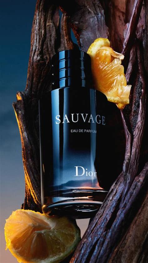 Sauvage Dior: 5 perfumes semelhantes e mais .